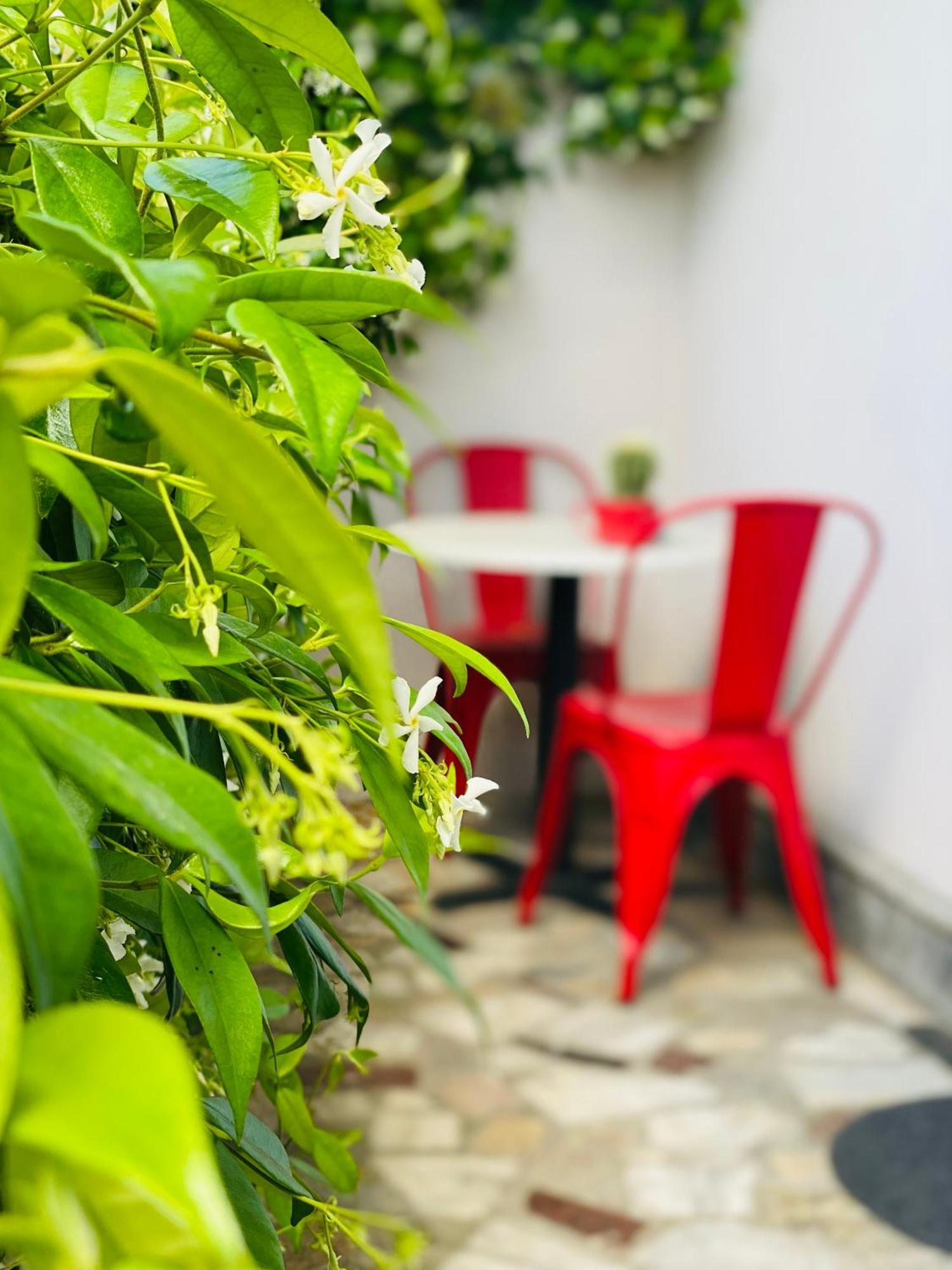 Jusi Ferienhaus Shkodra